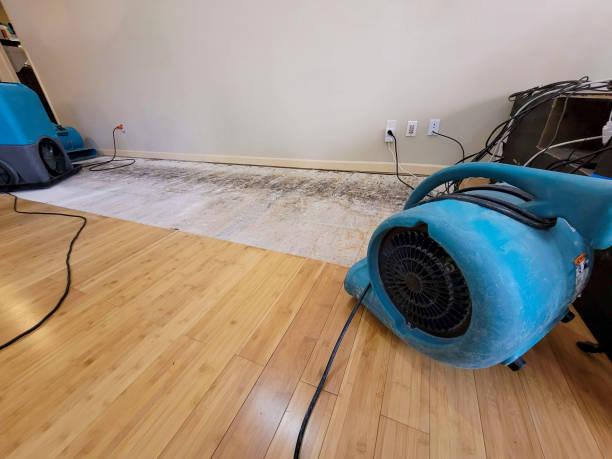 Professional Burst Pipe Water Damage technician working in Wallisville, TX